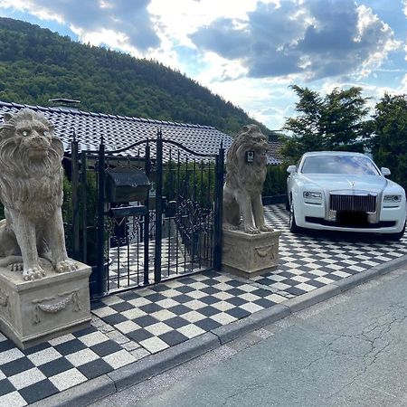 Villa Vip Haus Winterberg Esterno foto