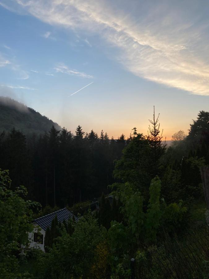 Villa Vip Haus Winterberg Esterno foto
